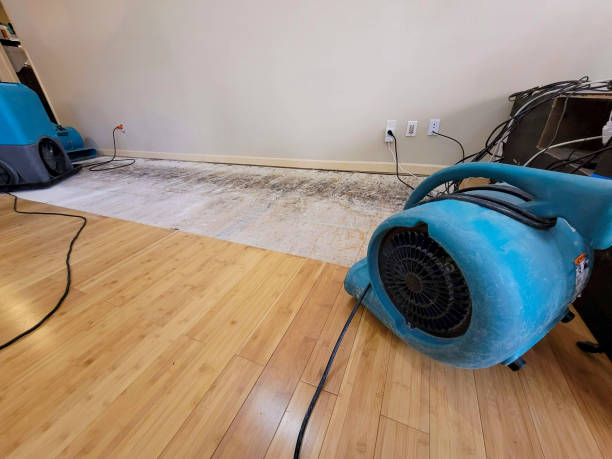 Professional Basement Flood Cleanup technician working in Elrosa, MN
